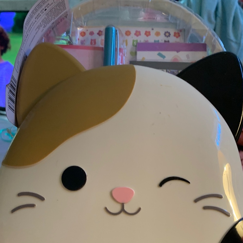 Squishmallow Cat Activity Set includes case